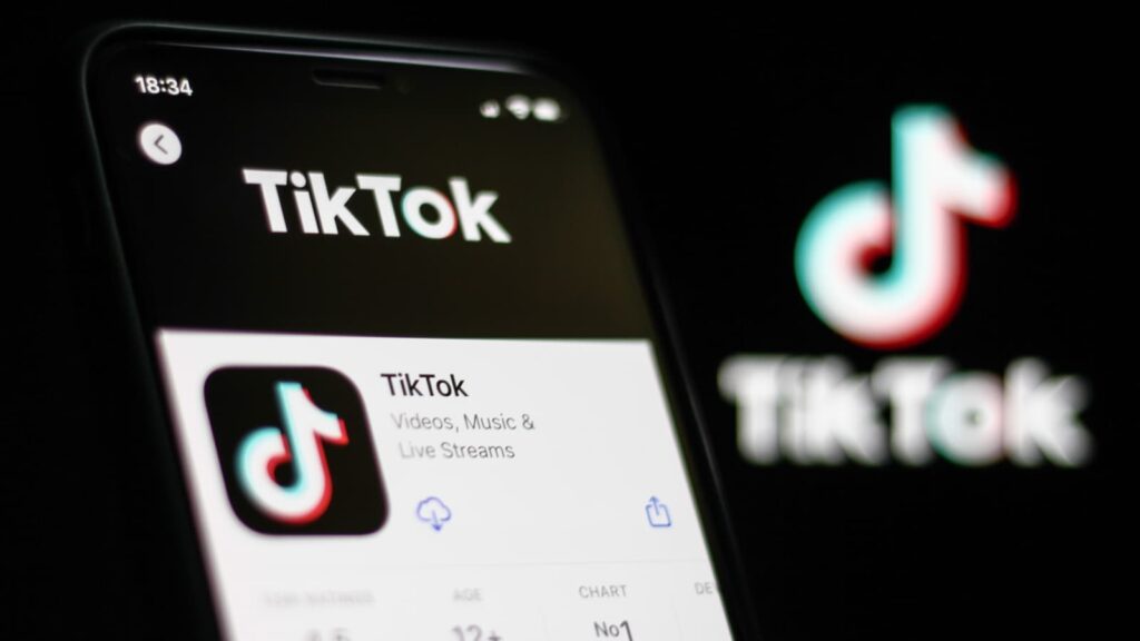 Riding the Wave: Understanding the Explosive Rise of TikTok in Social Media